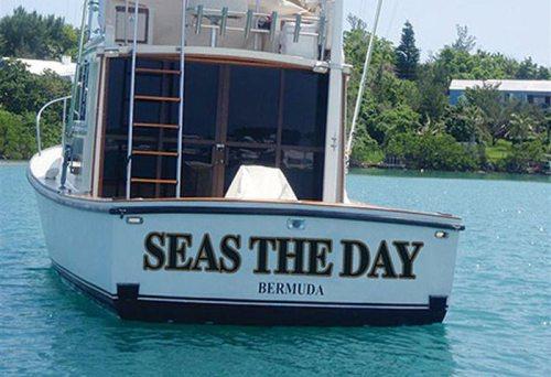 seas the day